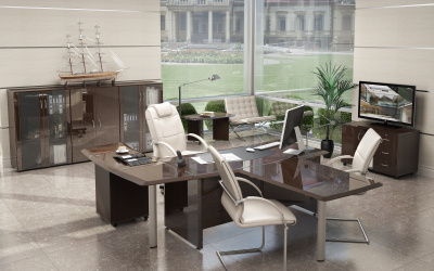 Кабинет руководителя Консул-лак