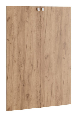 Двери средние TES381552