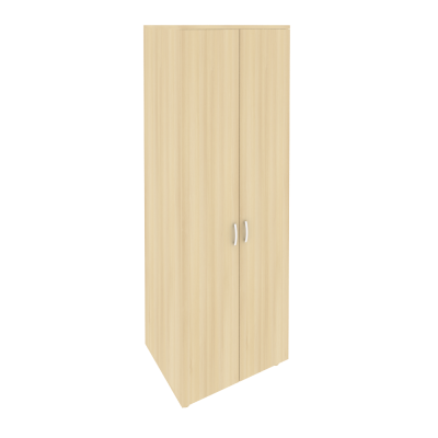 Шкаф распашной для одежды С-ШР-55