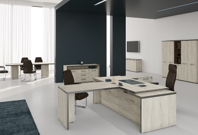 Кабинет руководителя Torr