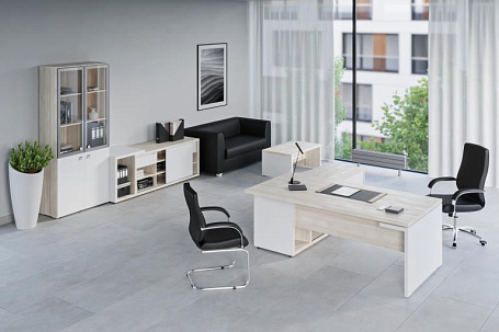 Кабинет руководителя Зион / Zion