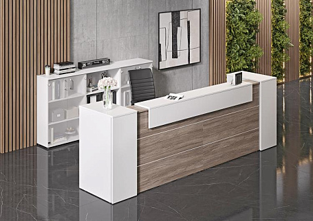 Ресепшн Оникс / Onix