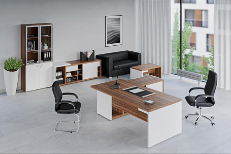 Кабинет руководителя Зион / Zion