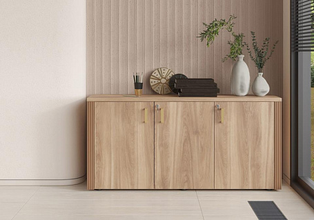 Кабинет руководителя Монза / Monza