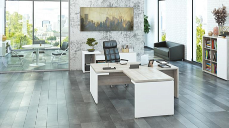 Кабинет руководителя Зион / Zion