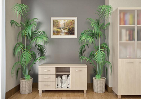 Кабинет руководителя First