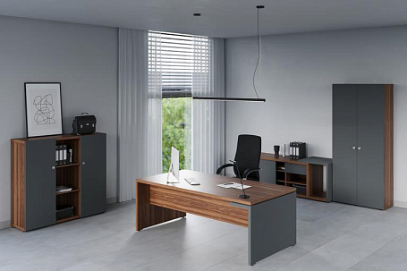 Кабинет руководителя Зион / Zion