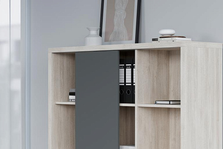 Кабинет руководителя Зион / Zion