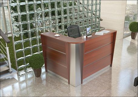 Ресепшн Rapid