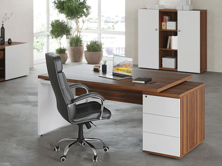 Кабинет руководителя Зион / Zion