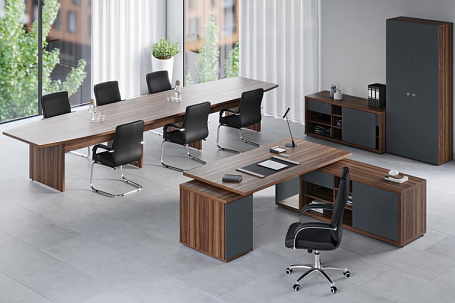 Кабинет руководителя Зион / Zion