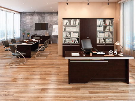 Кабинет руководителя Zoom