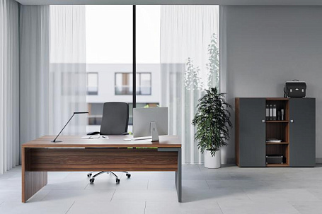 Кабинет руководителя Зион / Zion