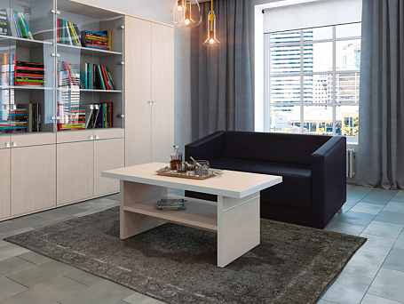 Кабинет руководителя Зум / Zoom