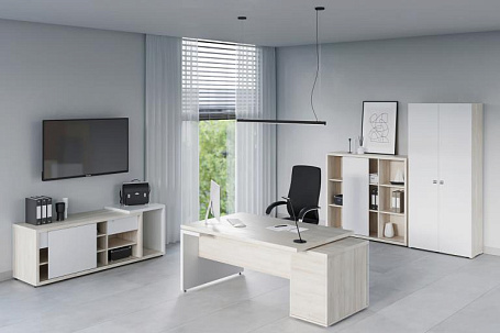 Кабинет руководителя Зион / Zion