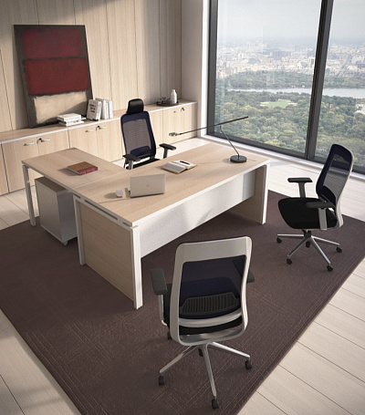 Кабинет руководителя Эра / Era