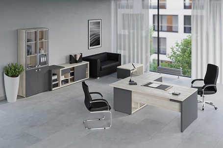 Кабинет руководителя Зион / Zion