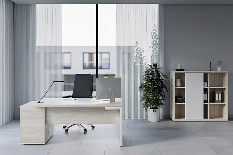 Кабинет руководителя Зион / Zion