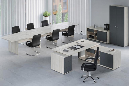 Кабинет руководителя Зион / Zion