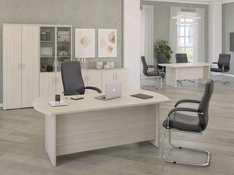 Кабинет руководителя Бонн / Bonn