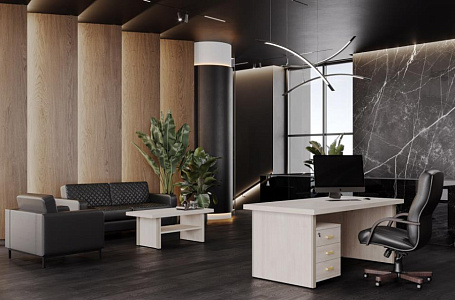 Кабинет руководителя Монза / Monza